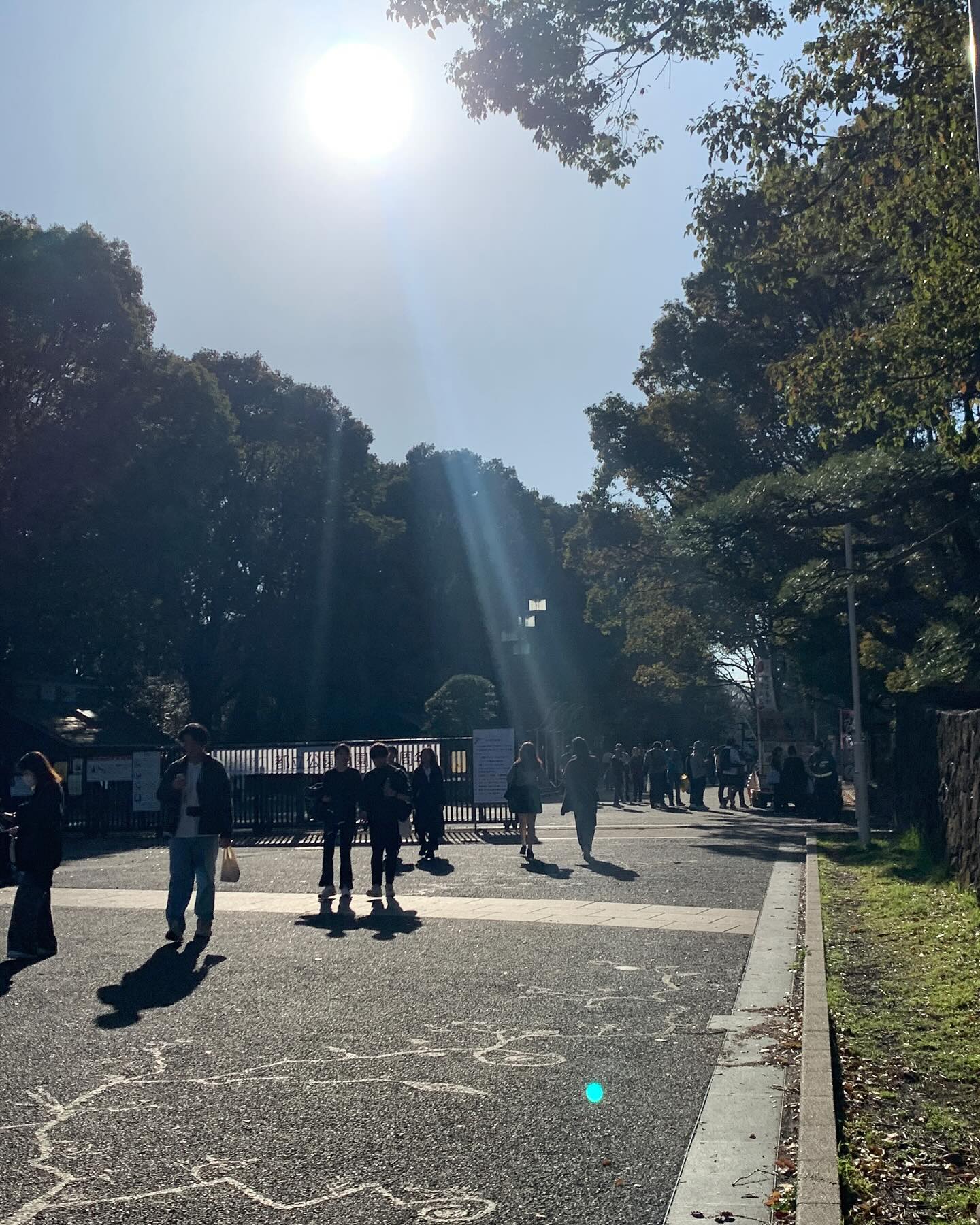 요요기 공원 산책조아