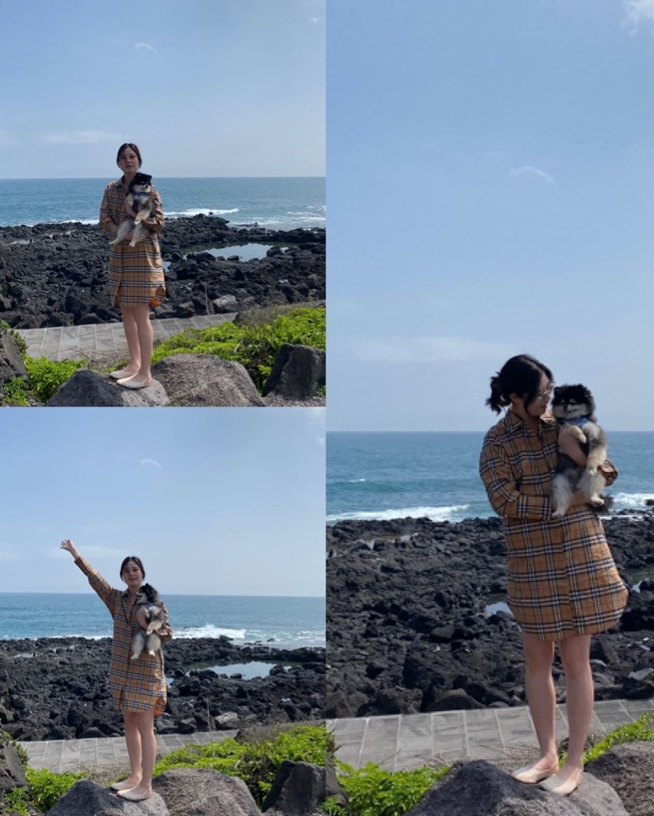 제주 2일차 ✈️

시원한 바다🏝️
겁없는 공덕이🐶
바다뷰 카페 🌊
귤라떼 너무 맛있어💕
미용안해서 꼬질한 공덕이 사랑스러워🤗💛
야식은 뿔소라회랑 딱새우 🦐