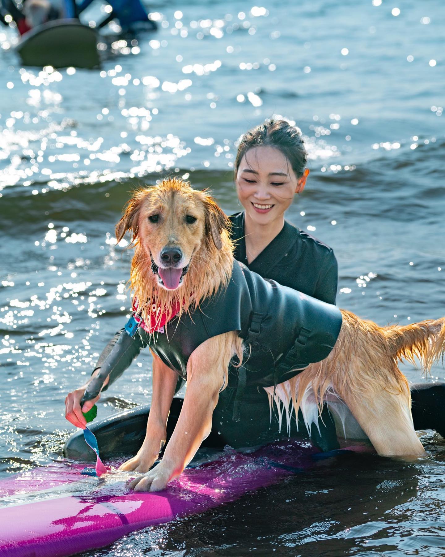 🐶내최애 우당탕탕이랑 첫 서핑🏄🏻‍♀️

한국해양재단 우수해양관광상품에 선정된
2023 멍콕 도그서핑 페스티벌 in 다대포
체험단으로 참가해따👊🏻🧡

입장 하자마자 선물 듬뿍..🎁
심지어 무거울 정도로 주셔따
어느 행사에서 20만원 상당의 웰컴 기프트를 주냐고🥹👍🏻

평생 볼 댕댕이들 한번에 다 본것같다
천국이 따로 있나🥹
나 거진 강아지 대통령이어따구
이쁜 아이들이 와서 뻡뻐해주구 가따🫶🏻🧡

이 행사는 견종 제한이 없어서
소.중.대형견 다 있었는데
사고 하나없고 다들 펫티켓 잘 지키셔서
심지어 조용할 정도였닼ㅋㅋㅋ👍🏻
(보호자분들 다들 이거에 완전 놀람ㅋㅋ)

외국에서만 하는 도그서핑을
한국에서 아니 심지어 부산에서 즐길 수 있다니!!!😮
이런 행사들이 계속 늘어나면 좋겠당!!!

담에하면 꼭 또 가야지!
(계속 개최해달라는 요청인건 안비밀🤫)

#해양수산부 #한국해양재단 #우수해양관광상품체험단후기
#무료여행 #무료관광 #바다여행