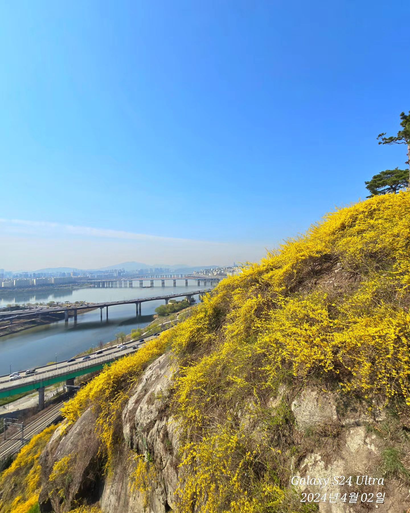 2024.04.02
산이라 햇던 걱정이 무색하게
구두신고도 올라갈 수 잇엇던 낮은 동산.
데크로 가기쉽게 되어잇어 산책삼아 다녀올 수잇엇다.
샛노란 개나리도 이쁘다 이뻐. 

#일상#일기#개나리군락지#응봉산#응봉산개나리