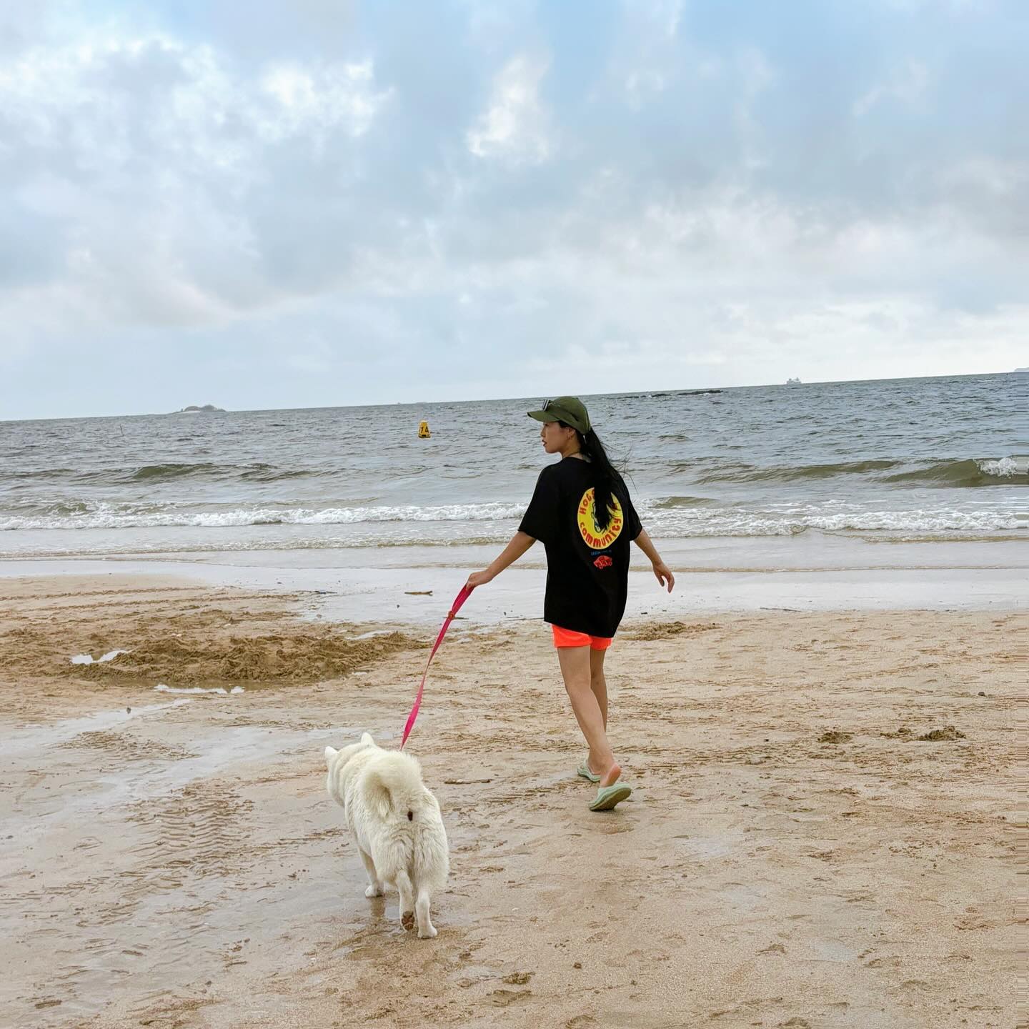 .
살구와 함께하는 매년 여름바다🌊
항상 비협조적🐻‍❄️

#대천해수욕장
#반려견동반해수욕장
#급여행🚗💨