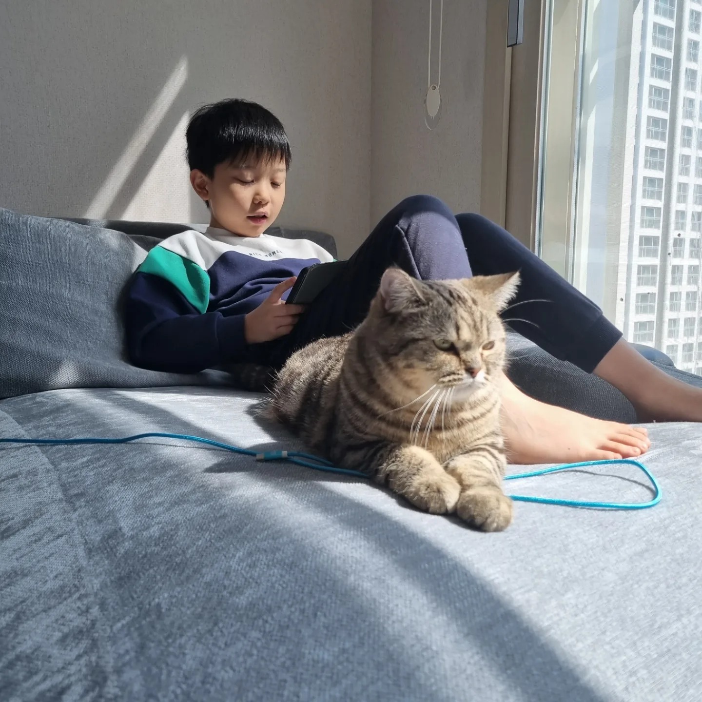 오빠 껌딱지 레오
오빠옆을 좋아해 귀요미🥰

#냥스타그램 
#반려묘일상🐱