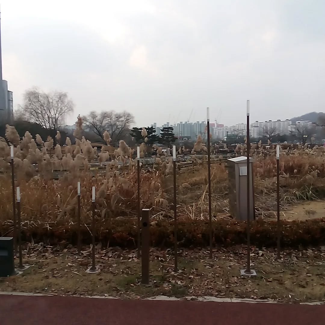 호수공원 오랜만에 메리랑 산책갔는데
상쾌하고 좋았다
.
.
.
그리고 최근 제주무안공항 사고에 대해
깊은 유감을 표하며...
삼가 고인의 명복을 빕니다...