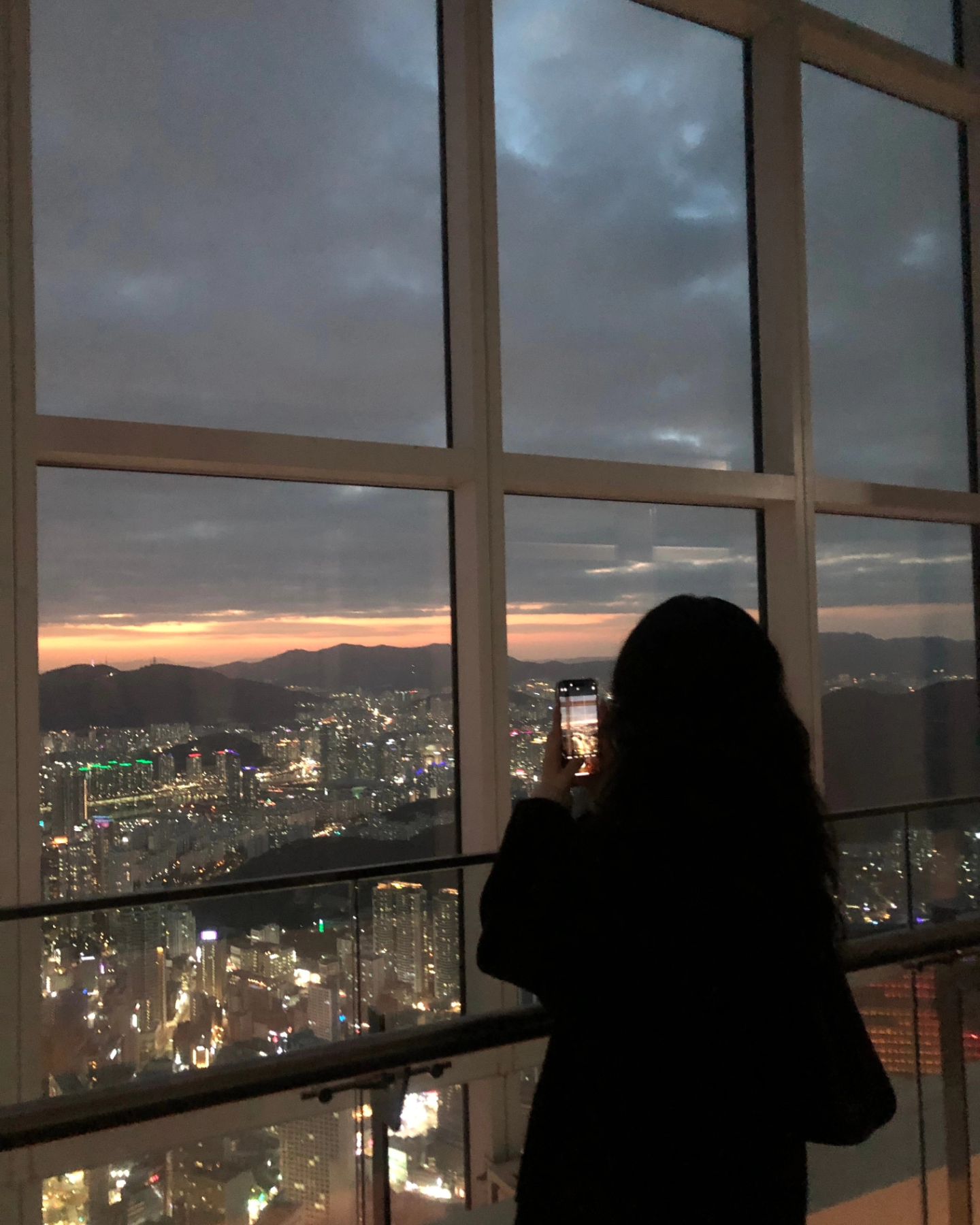 🌃