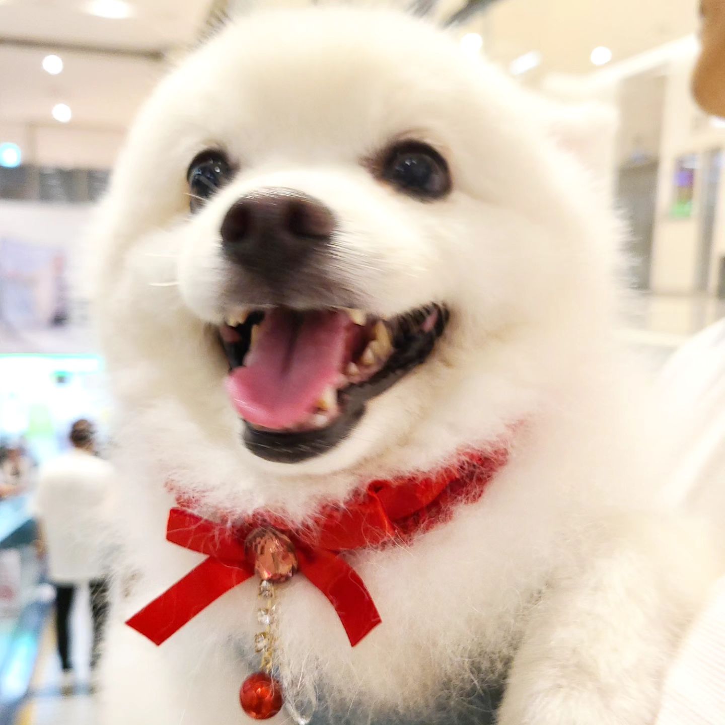 사랑해❤️