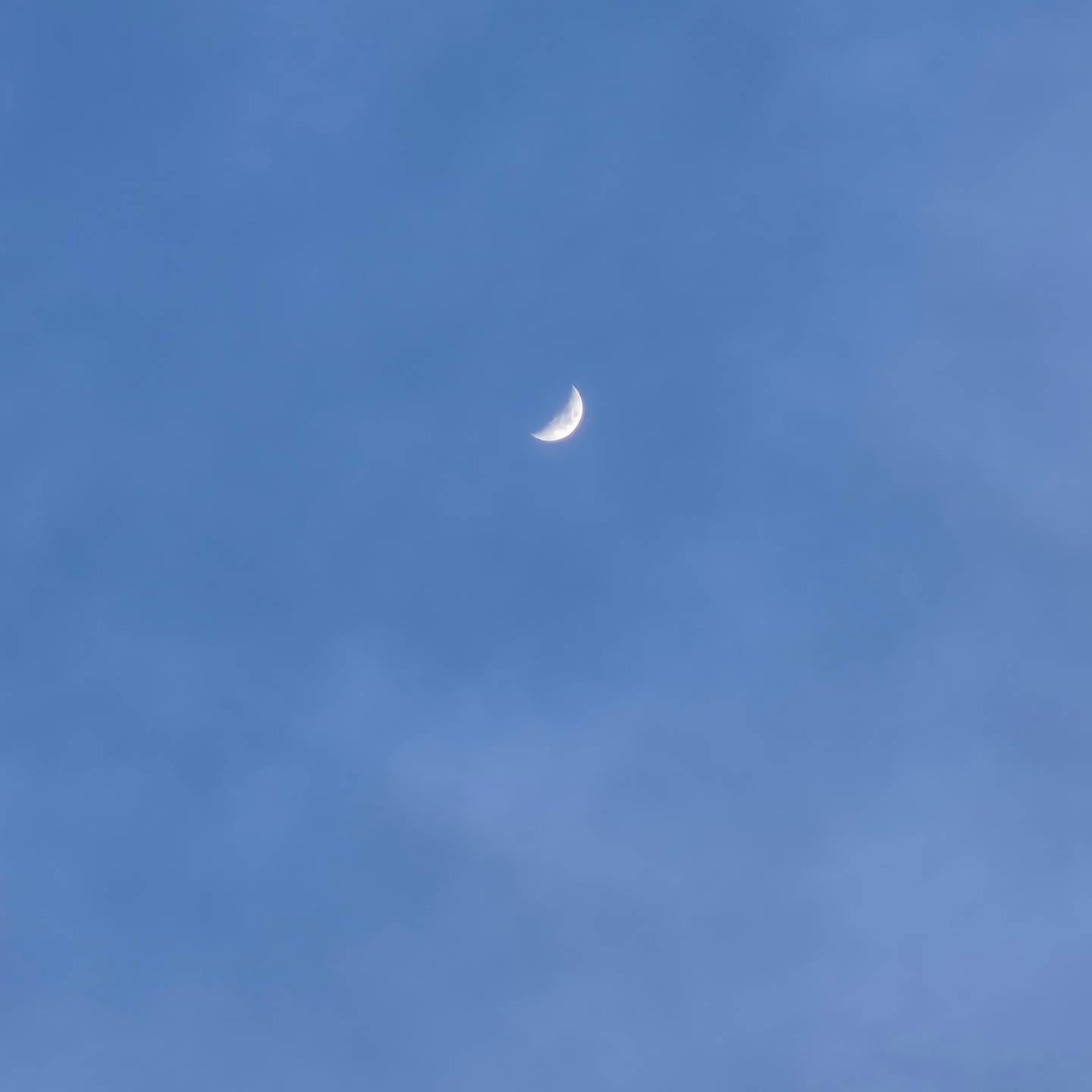 낮달 :: 달의광도
낮에 뜨는 달은 사실은 24시간 내내 떠있지만
태양이 너무 밝아 보이지 않았던 것.
우리의 삶도 매일 빛나고 있지만
더 밝은 현재의 태양이 잠깐 빛나는 내 삶을
가리고 있다 생각하자.
사는게 바빠 이사오고 처음으로
동네를 누렸던 지난 주말.
누군가에게 거짓된 삶을 보여줄만큼 잘나지도 않았고
누군가의 슬픔으로 내 슬픔을 덮어야 할만큼
악랄한 사람도 아니거니와 내 인생도 쓰레기통이 아닌걸.
사는게 진짜 너무 바쁘고 우리가족 모두..
변한 환경에 적응하기 바빴던 지난1년.
아직도 우리는 익숙해지고 있고 적응중이라
매일이 삐그덕 거리지만..
괜찮아, 언젠간 오늘을 떠올리며 그런날도 있었다
허심탄회하게 웃을 날이 올거야~
남편이 혼자 일할 땐 바쁜 남편 자리 메워주느라 바빴고
같이 일하는 지금은 같이 서로의 빈자리를 메우느라 바쁘고
아이들이 가장 힘들겠지만.. 
생각보다 또 씩씩하게 이겨내는 우리 후느율.
우리가족 오늘도 힘내자...!!!!!!