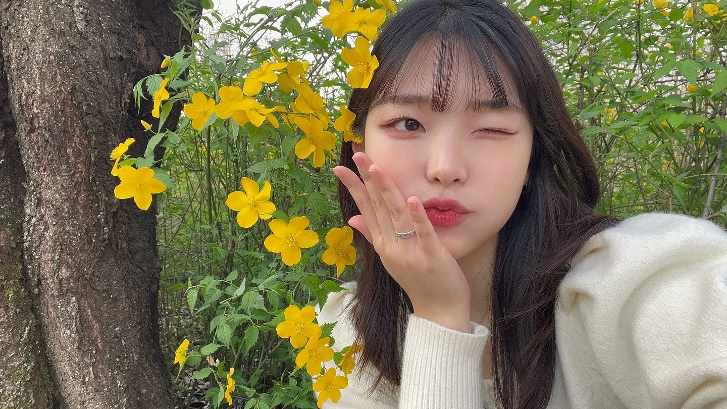 콘텐츠