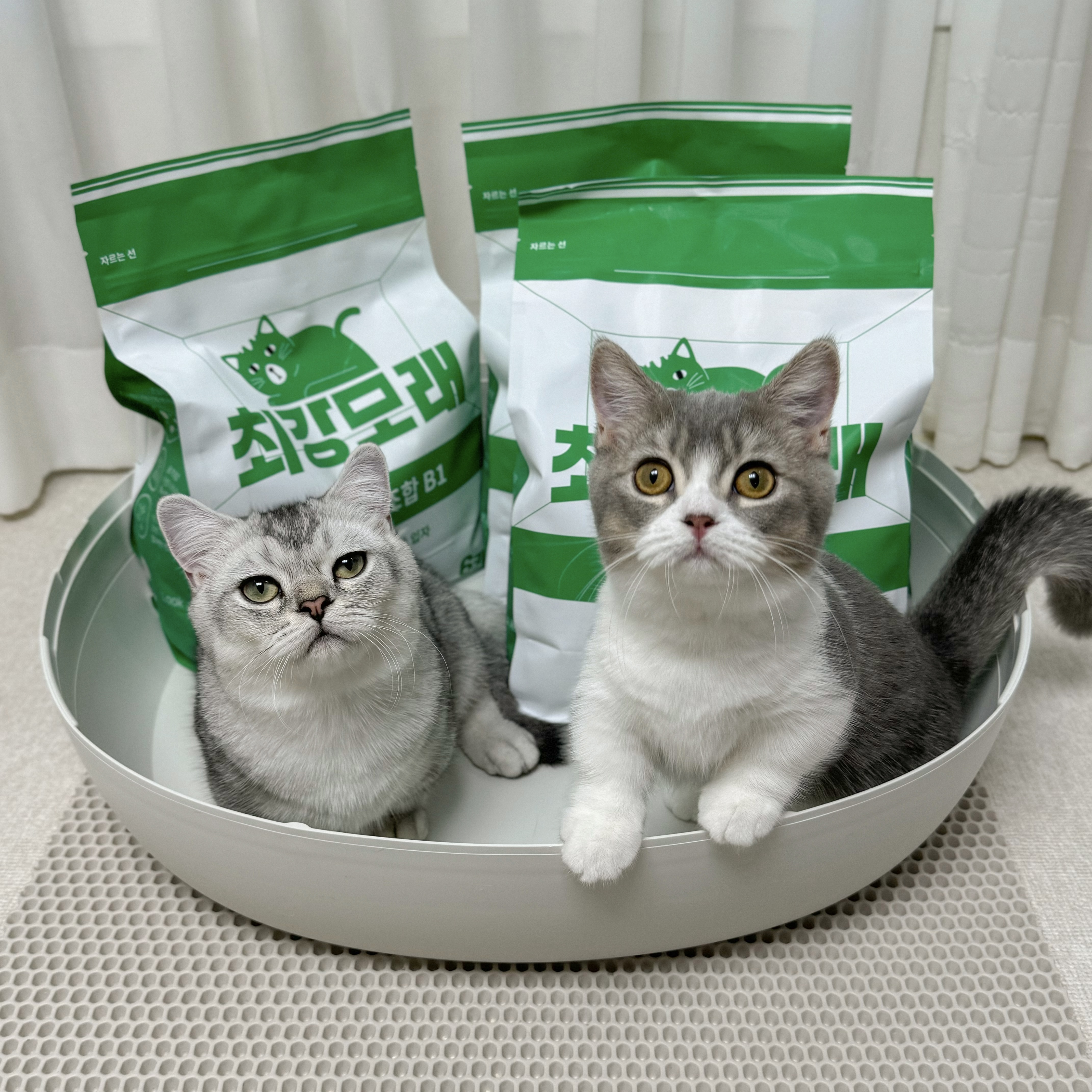 콘텐츠