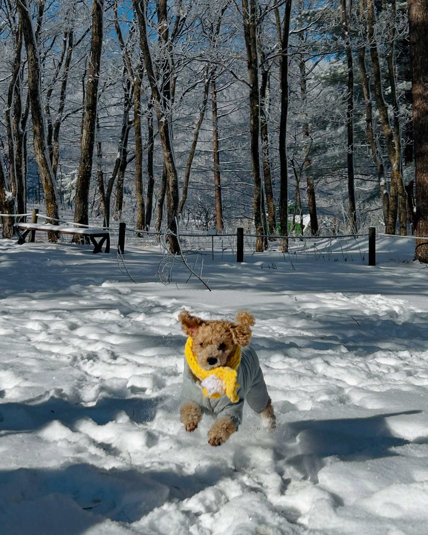 함백산에서❄️