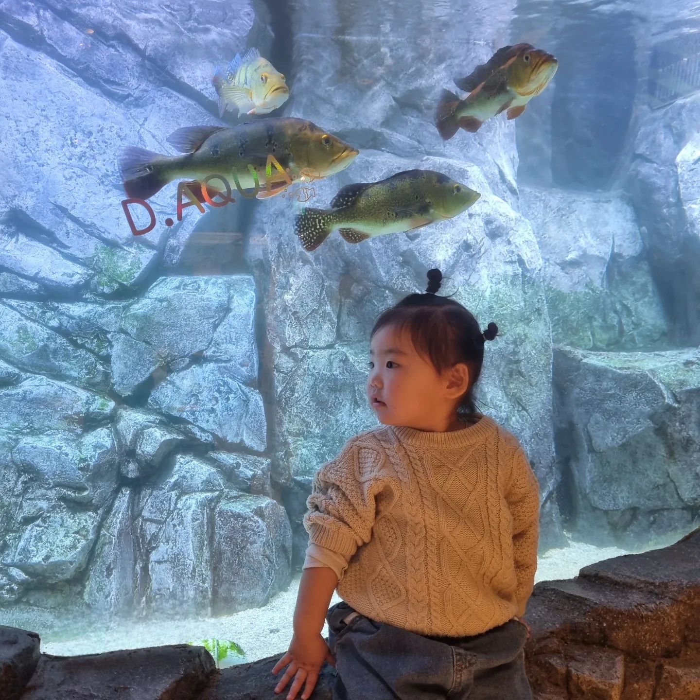 물고기 친구들 만나러🐟🐠🐡
#디아쿠아 #동탄