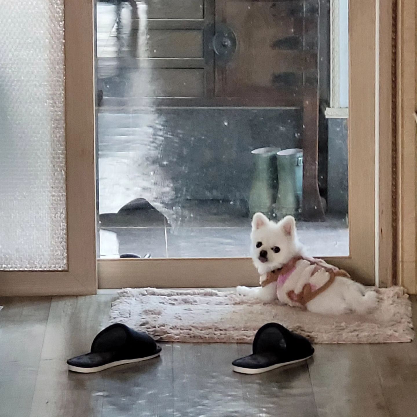 아빠 오나 감시 중 ㅋㅋㅋㅋㅋㅋ