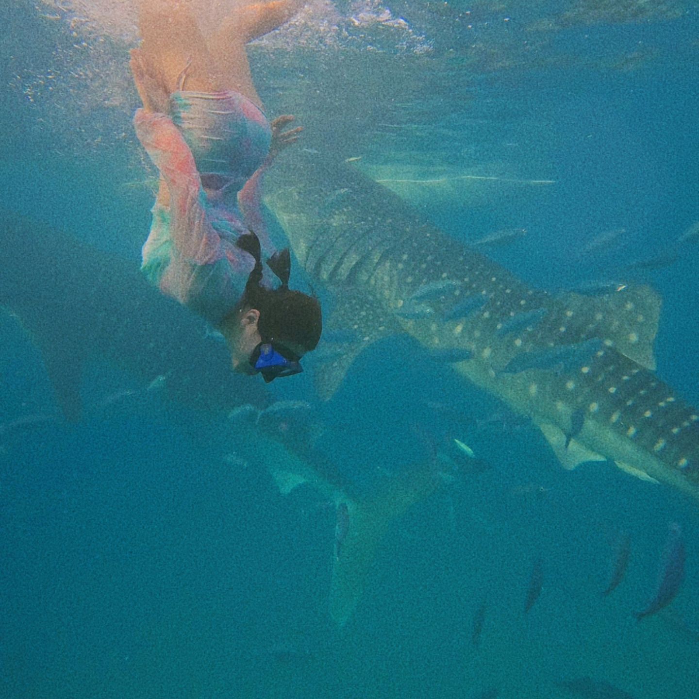 바닷 속 친구들과 함께 🐋🐢🐠🐟💙