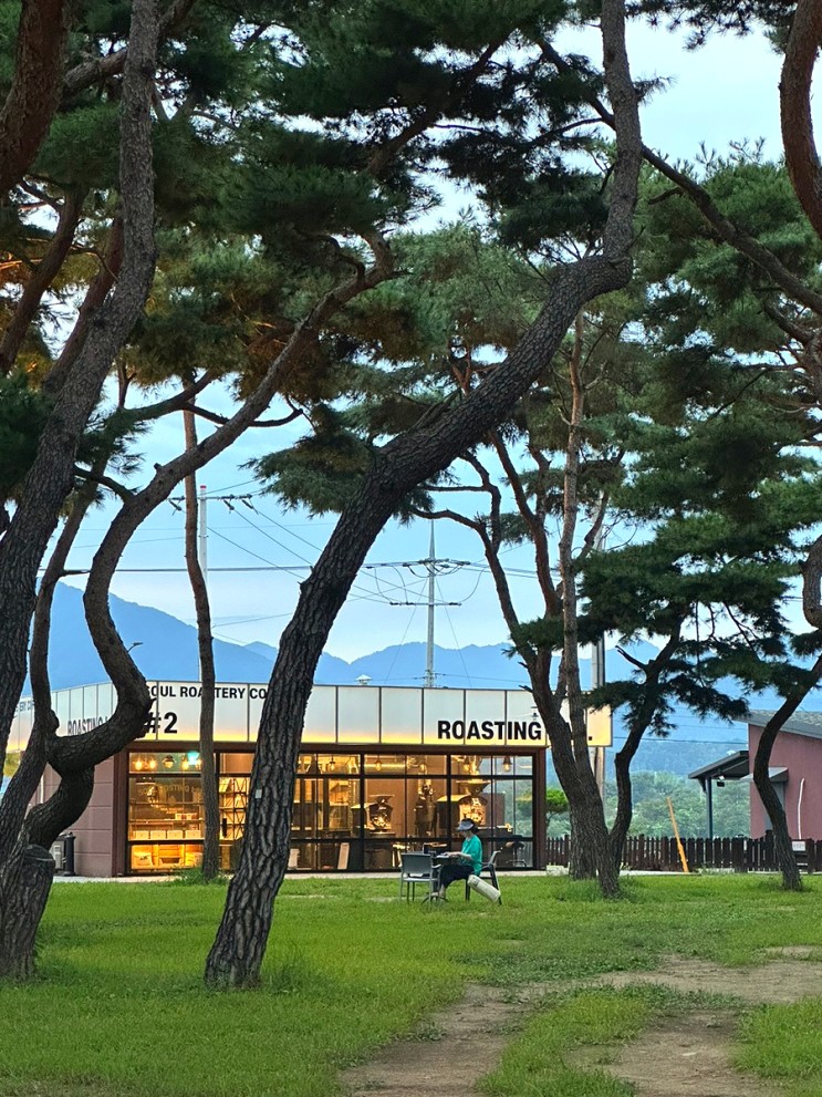 [춘천|카페]힐링뷰 소나무 숲 춘천 대형카페 '소울로스터리' ★강력추천하는 노을 뷰 맛집★