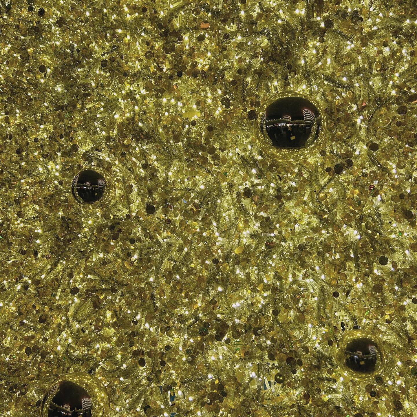 ✨✨✨