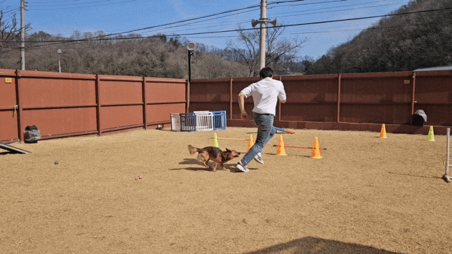 서울 근교 양평 단독애견운동장인 뛰어놀개에 다녀왔어요.