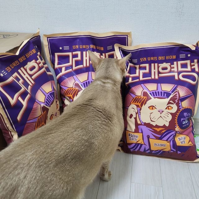 안쪼리 on Instagram: "#협찬 모래혁명에서 쪼리에게 모래를 보내주셨어요 4종 중 쪼리가 받은건 극세입자 무향 ✅ 모래유목민 해방 바이블 모래혁명은❓ ✔다양한 크기의 입자 제공 극세입자>