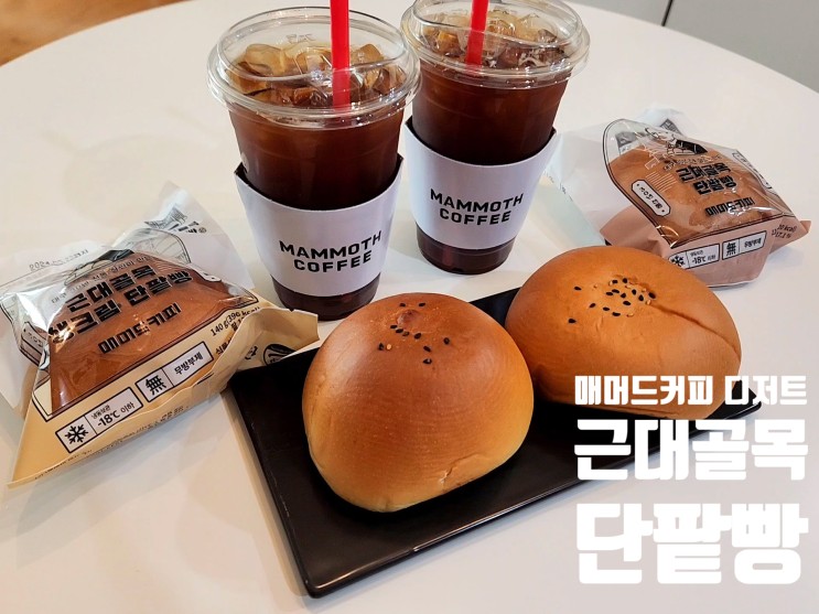 매머드커피 디저트 신메뉴 대구3대빵집 근대골목 생크림 단팥빵