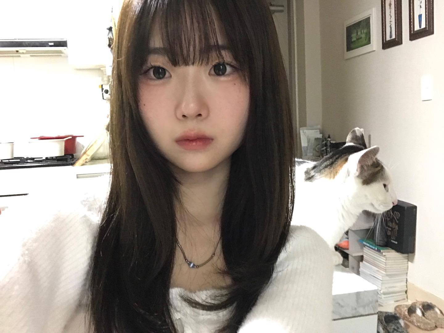 /ᐠ. ｡.ᐟ\ᵐᵉᵒʷˎˊ˗°₊·ˈ∗ ♡∗ˈ‧₊°。