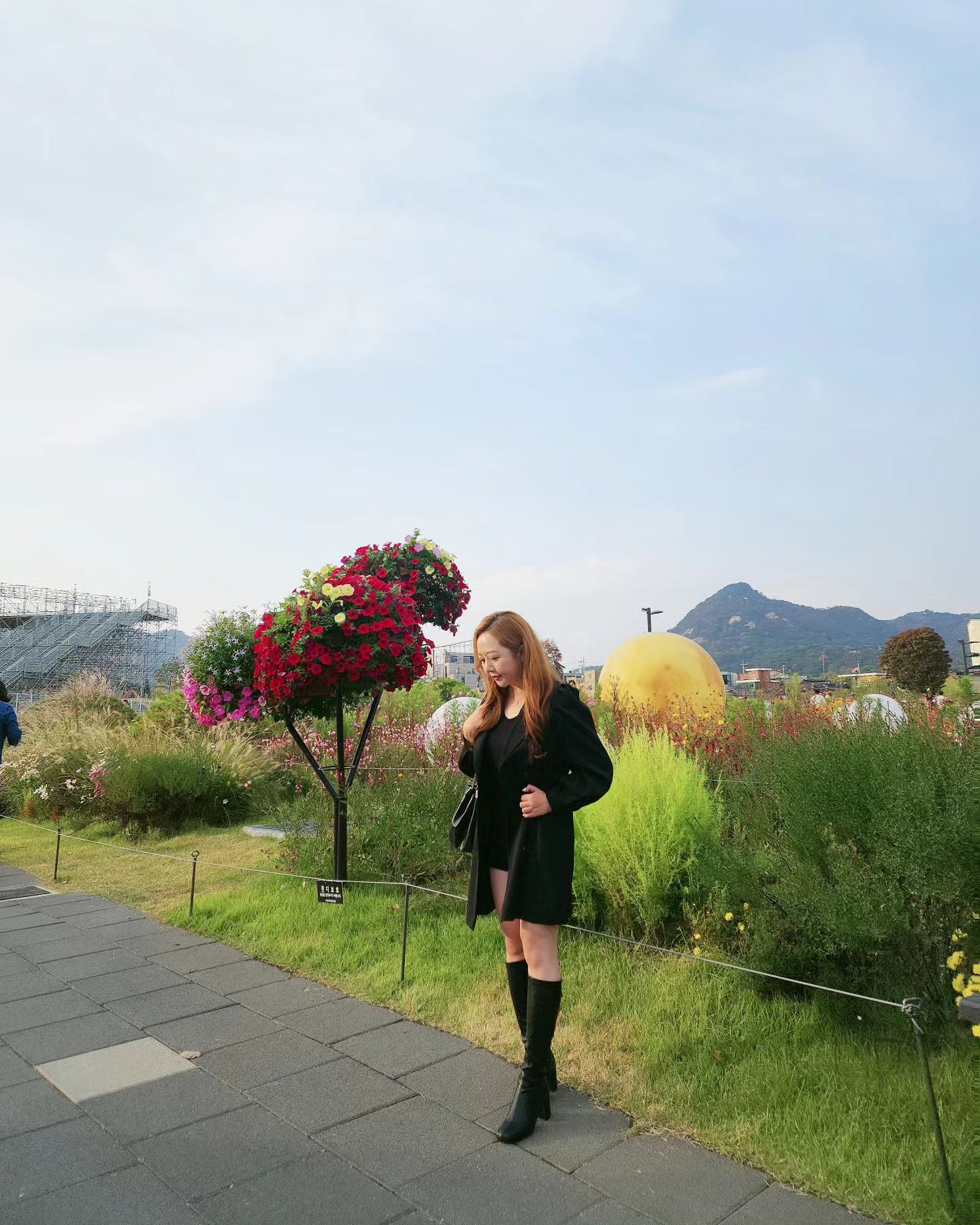 가을여자 컨셉으로 콧바람 쐬러갔는데
날씨 넘 더워서 땀 뻘뻘💦
11월 날씨 실화인가요🫠

은행나무도 생각보다 물이 덜들어버렸지만😂
오랜만에 2만보 걷기 넘넘 재미졌다

#삼청동 #북촌 #익선동 #종각 #가을나들이