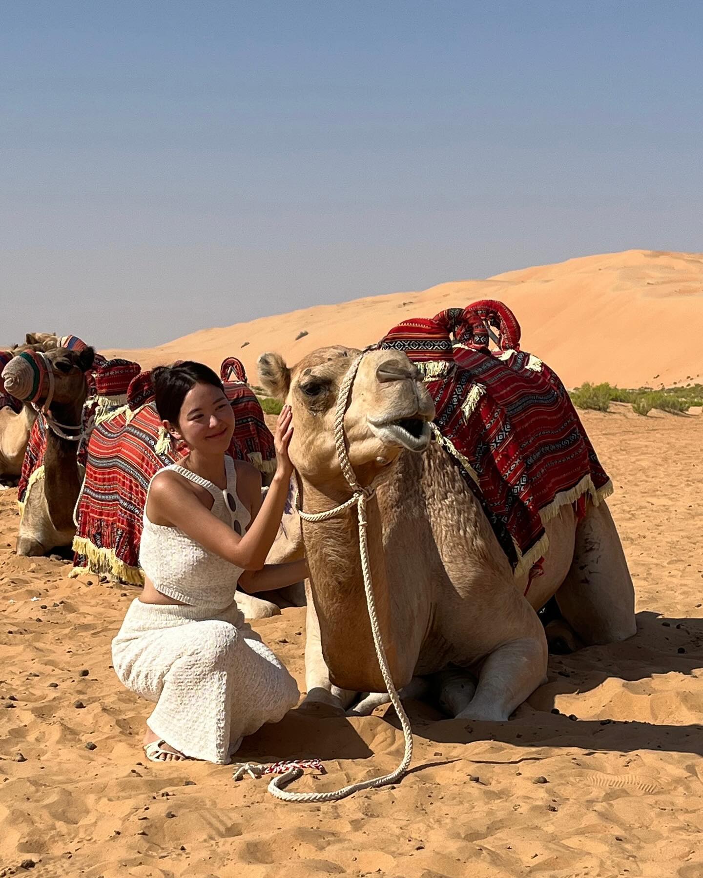 큐트카멜🐫🤎🤍🤎🤍😆