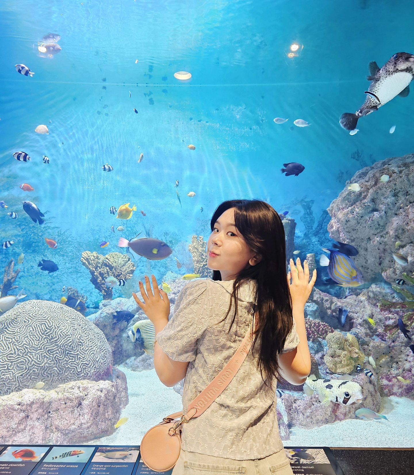 물고기야아아아아아앙 안뇽