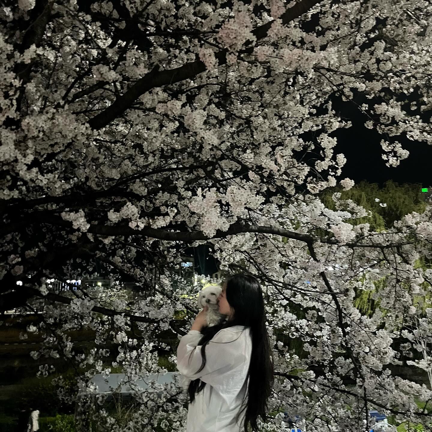 내 말랑콩떡 포미 🤍