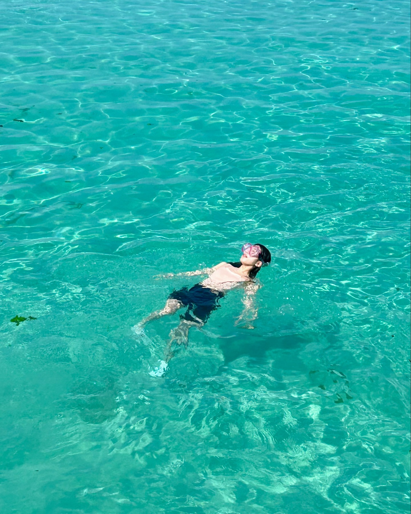요시고실패(?)🌊
바다색깔이 미쳣엉….💙🩵💙🩵
날좋으면 하루 더 물놀이 가고싶은데 아쉽다 ㅎㅎ