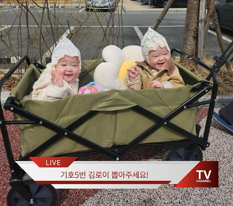 선거유세 알바 보내도 되겠다 
저렇게 인자한 미소를 보이다니 😁
너무 귀여워 로아는 3번? 🤟🤟