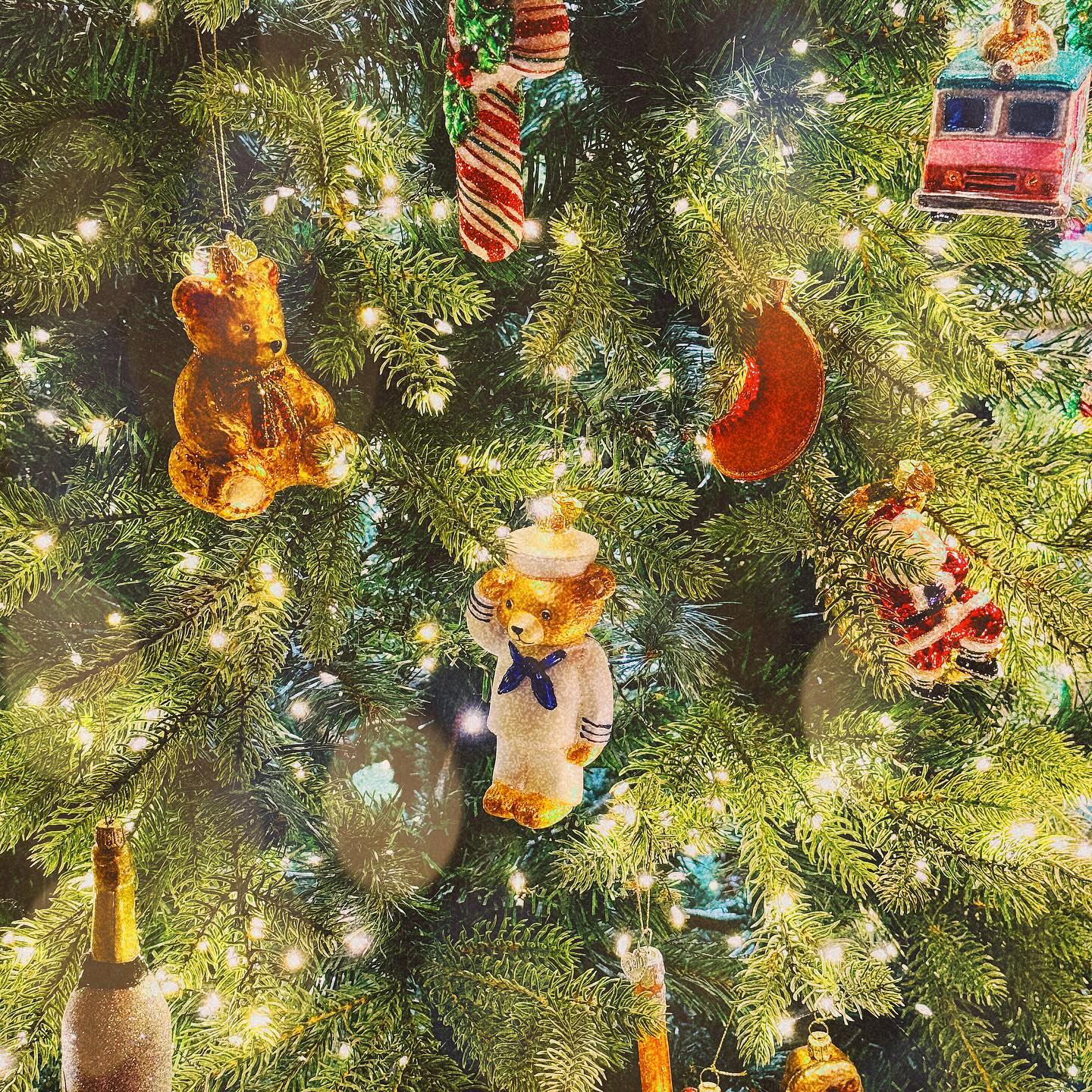 merry christmas🎄