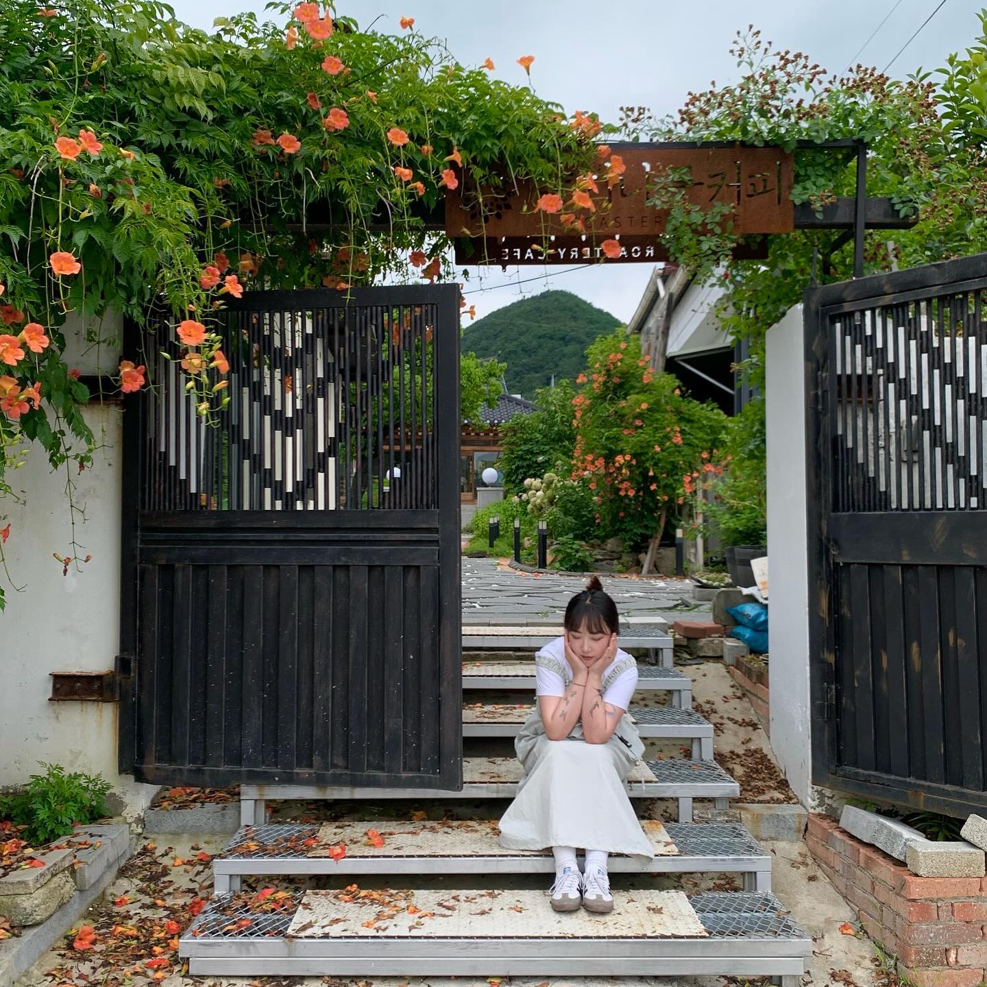 오늘은 청주 능소화 뿌식히🫶 #청주 #능소화 #윤댕
