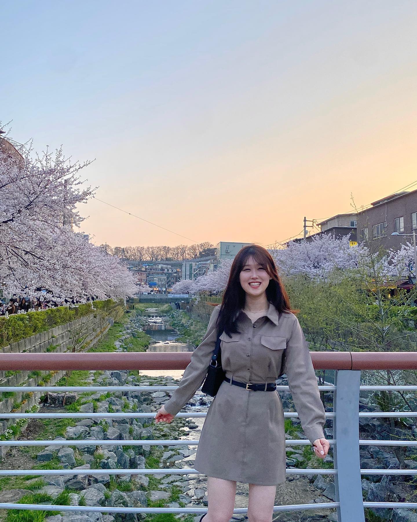 🌸