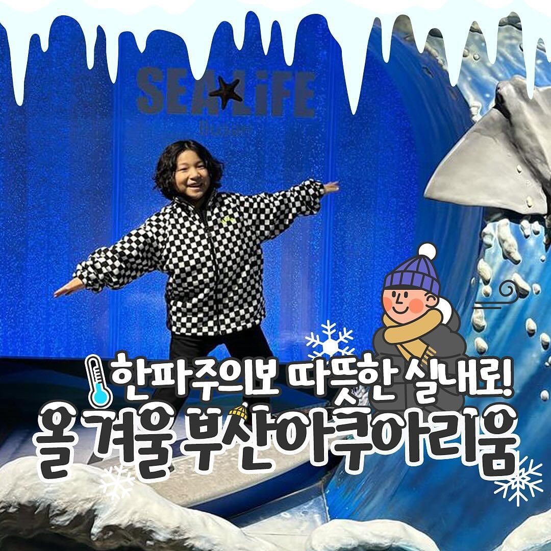 *

부산이 이렇게 추울 수 있나용🥶
한파 속에서도 부산아쿠아리움은 항상 따뜻❤️

우리 아이들 겨울 방학은 따~뜻한 부산아쿠아리움에서
다양하고 즐거운 활동으로 꾹꾹 채워나는건 어때용😎

#부산아쿠아리움 #부산아이들과가볼만한곳 #부산여행 #부산실내데이트