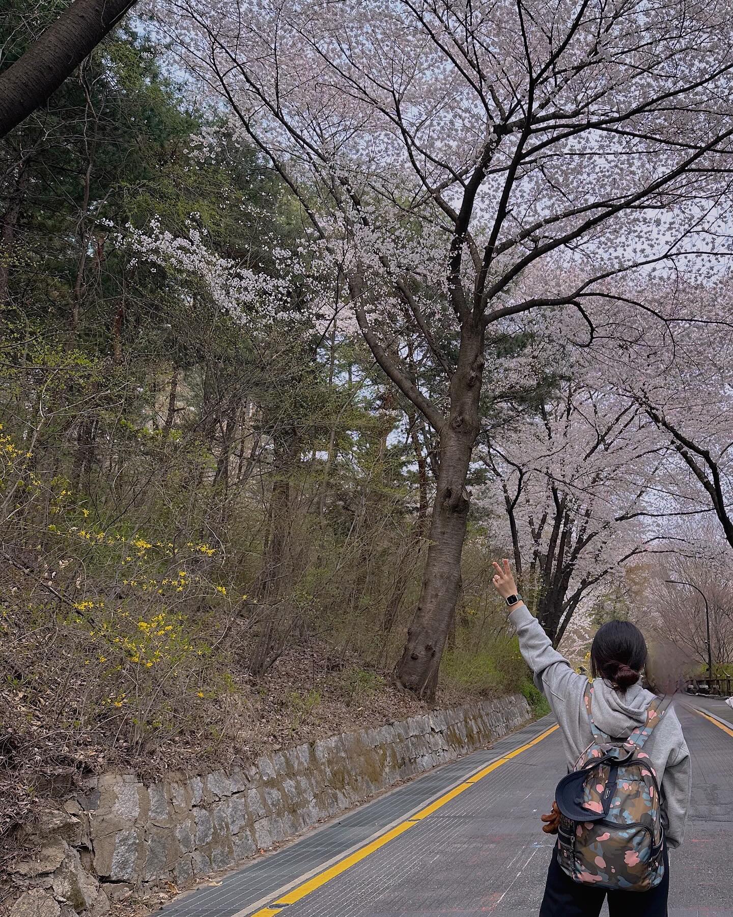 💝 2024 나의 봄 🌸💖