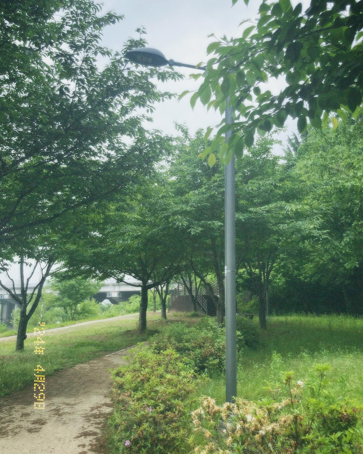비가 주륵주륵르으으윽