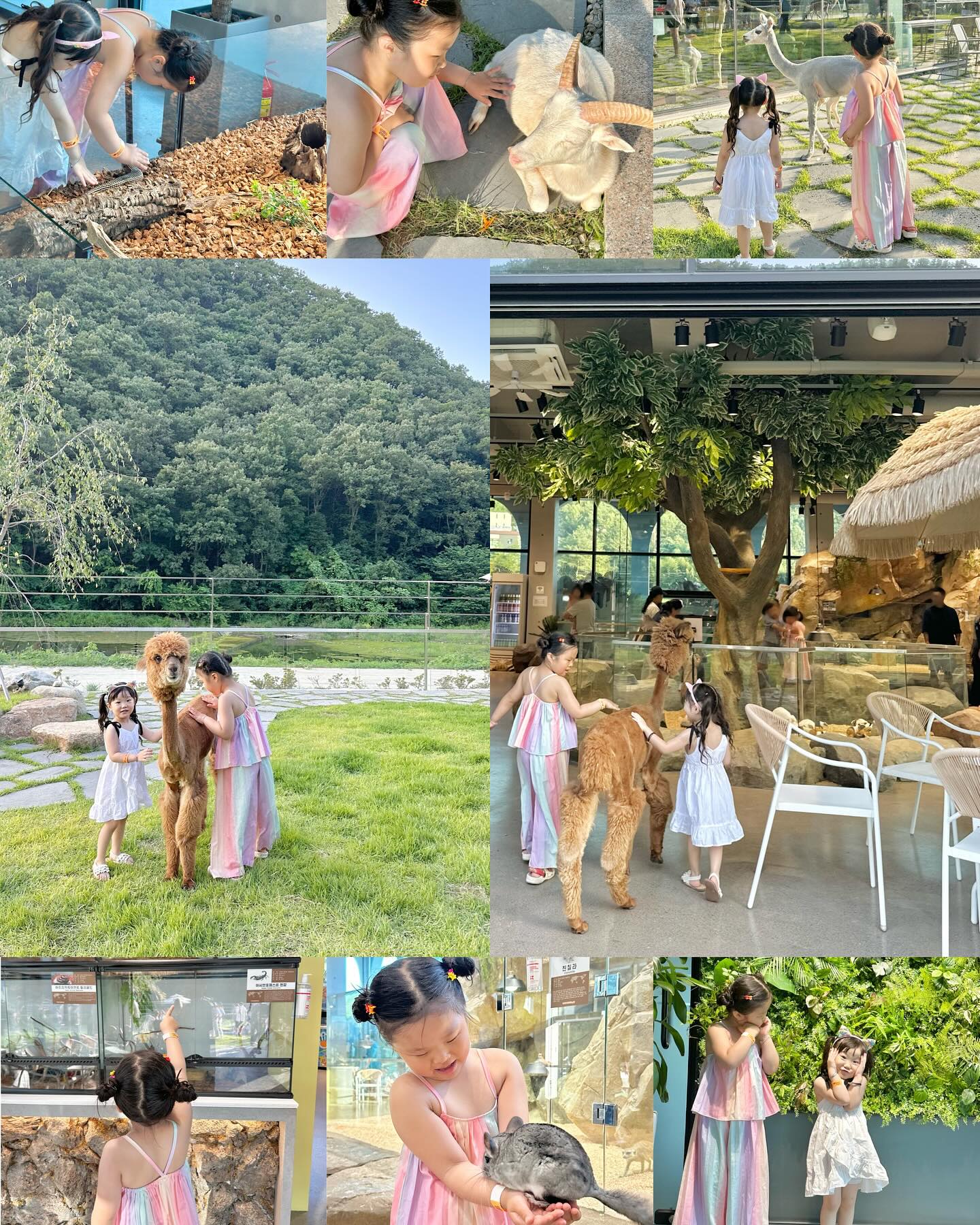 [울산아이랑체험] 와우쥬 동물원

울산 울주군 삼동에 위치한 울산의 미니 동물원, 
자연 속에서 다양한 먹이체험과 직접 보고 느낄 수 있는 이 곳 !

여름에 오픈한 ”와우쥬 동물원“

아이들이 마음껏 뛰어놀 수 있는 1000평 부지 공간 
1층 포유류, 2층 파충류관, 야외 존으로 나눠져 있어요. 

기니피그부터 거북이, 카피바라, 고양이, 알파카, 양 등 
다양한 동물들이 편안하게 돌아다닌다는 점! 산뷰에 환상적, 
동물원에는 사육사 분들 많이 상주하고 수시로 청소 중 ✨

대관령 놀러 온 줄 ? 
양이랑 알파카 등과 인생사진 가능 🫶🏻

먹이컵 사서 뽈뽈 돌아다니고 너무 순하더라고요. 
주말에는 사람이 조금 많다는 점 참고 / 아이가 무지 좋아함 !
동물들 먹이주기, 만져보고 체험을 할 수 있어 좋았어요. 

24개월 미만 무료 🫶🏻👶🏻🫶🏻
우리 둘째 무료로 함께 보고 왔어요. 

🔖 와우쥬동물원 wowzoo_and_wowpet 
▫️주소 : 울산 울주군 삼동면 삼동로 657
▫️영업시간 : 매일 11:00 ~ 19:00 
▫️입장료 16000원 / 24개월미만 무료 / 먹이컵 2000원
▫️네이버 리뷰 작성 시 먹이 1컵 or 음료수 1병 제공
.
.
. 
#울산아기랑 #울산아이랑 #울산아이랑가볼만한곳 #울산아이와가볼만한곳 #와우쥬동물카페 #와우쥬동물원 #울산와우쥬 #울산아이랑체험