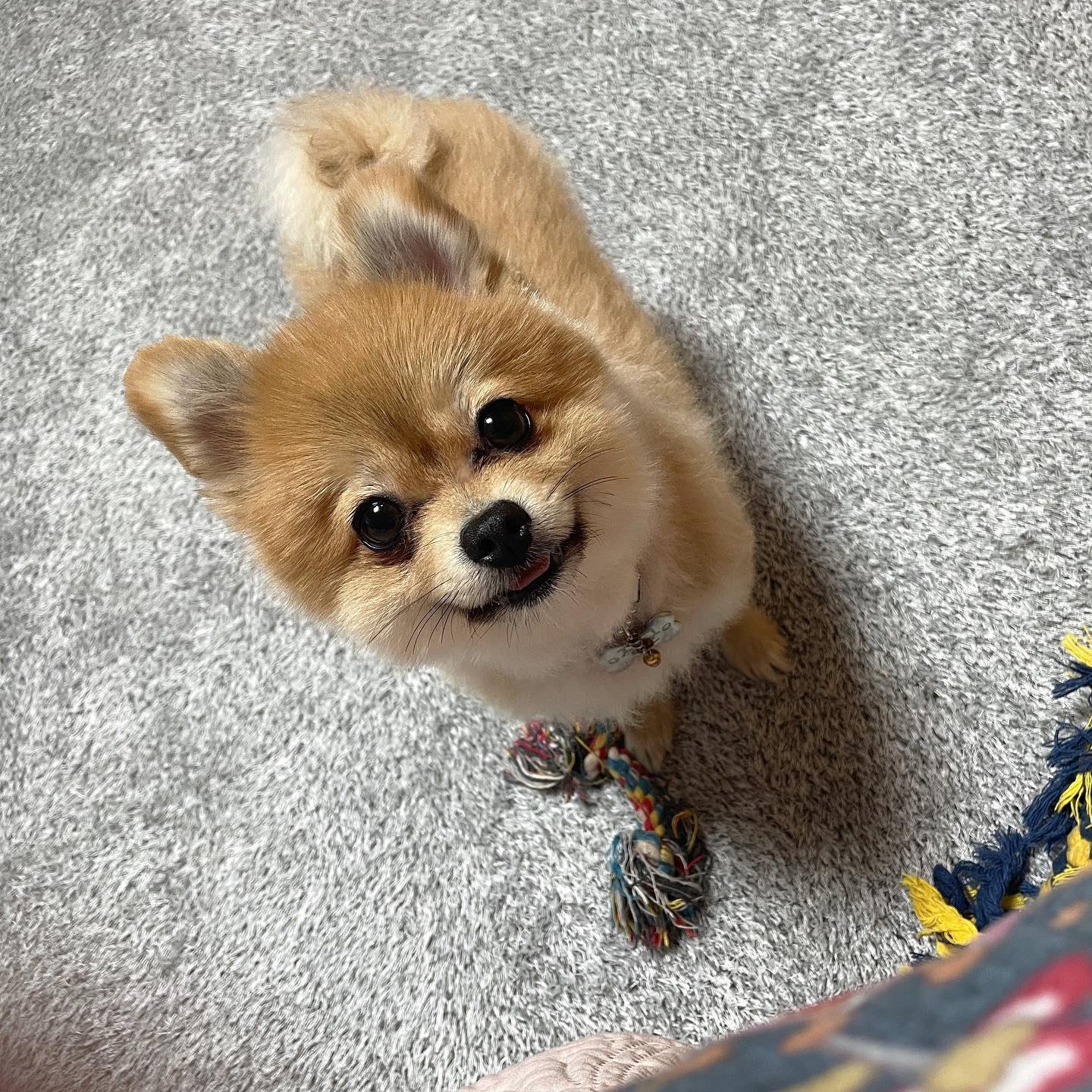 나랑 놀아주개 🐶💞