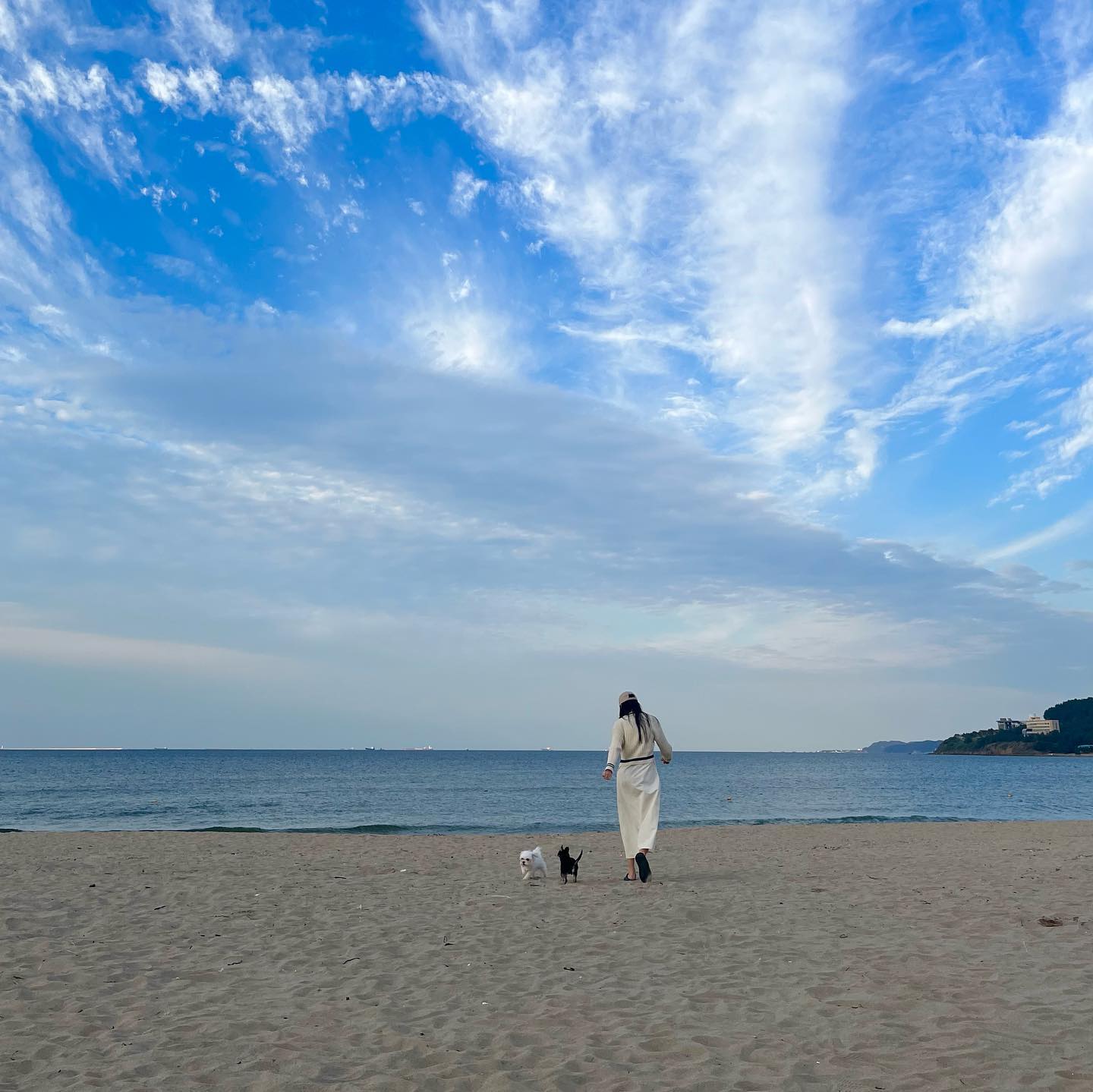 행복은 가까이 🌊🐾