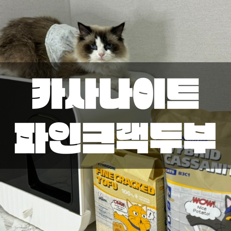 페스룸 카사나이트(카사바&벤토), 파인 크랙 두부 모래 리뷰