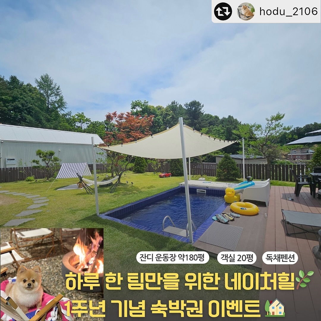 #리그램 - hodu_2106 by get_multi_repost
호두 X 네이처힐 1주년 기념 숙박권 이벤트🏡❤️

객실 20평, 잔디 운동장 약 180평으로 신나게
뛰어 놀기에 좋은 독채 펜션 네이처힐이 곧 1주년을 맞이해요! 
작년에 저도 네이처힐에서 호두와 좋은 시간을 보내고 왔는데
좋은 기회로 숙박권 이벤트를 들고왔어요! 
독채펜션이라 너무 좋고 객실 내부, 외부 전부 깨끗하게
관리가 잘 되어 있어서 너무 좋은 곳! 이벤트 오픈!✨🤍

🏡 참여방법 

1️⃣호두 hodu_2106 네이처힐 natureheal_official 팔로우
2️⃣본 피드를 스토리 or 피드에 리그램 후 호두 계정 태그 필수!
(둘다 리그램시 추첨할 때 아이디+1)
3️⃣친구소환+참여완료 댓글

💌 이벤트 기간: 9월2일(월) 9월8일 자정까지
- 당첨자 발표 9월 9일 총3팀 추첨 

📅 숙박권 사용기간

9월22일(일) - 10월 말까지! 평일 일-목요일 중 가능한 날
4인2견 무료 (최대 6인)
➡️인원, 반려견 추가시 추가금발생
➡️바베큐 비용, 수영장 미온수, 노천탕 온수, 불멍(오로라 가루 줌) 사용시 추가금 발생
➡️견종 제한X , 무게는 15kg까지 가능!
➡️조식 아침 9시 제공 (조식 맛있음😜)

📍 후기가 필수인 이벤트 입니다 (피드1건, 릴스1건 총2건)