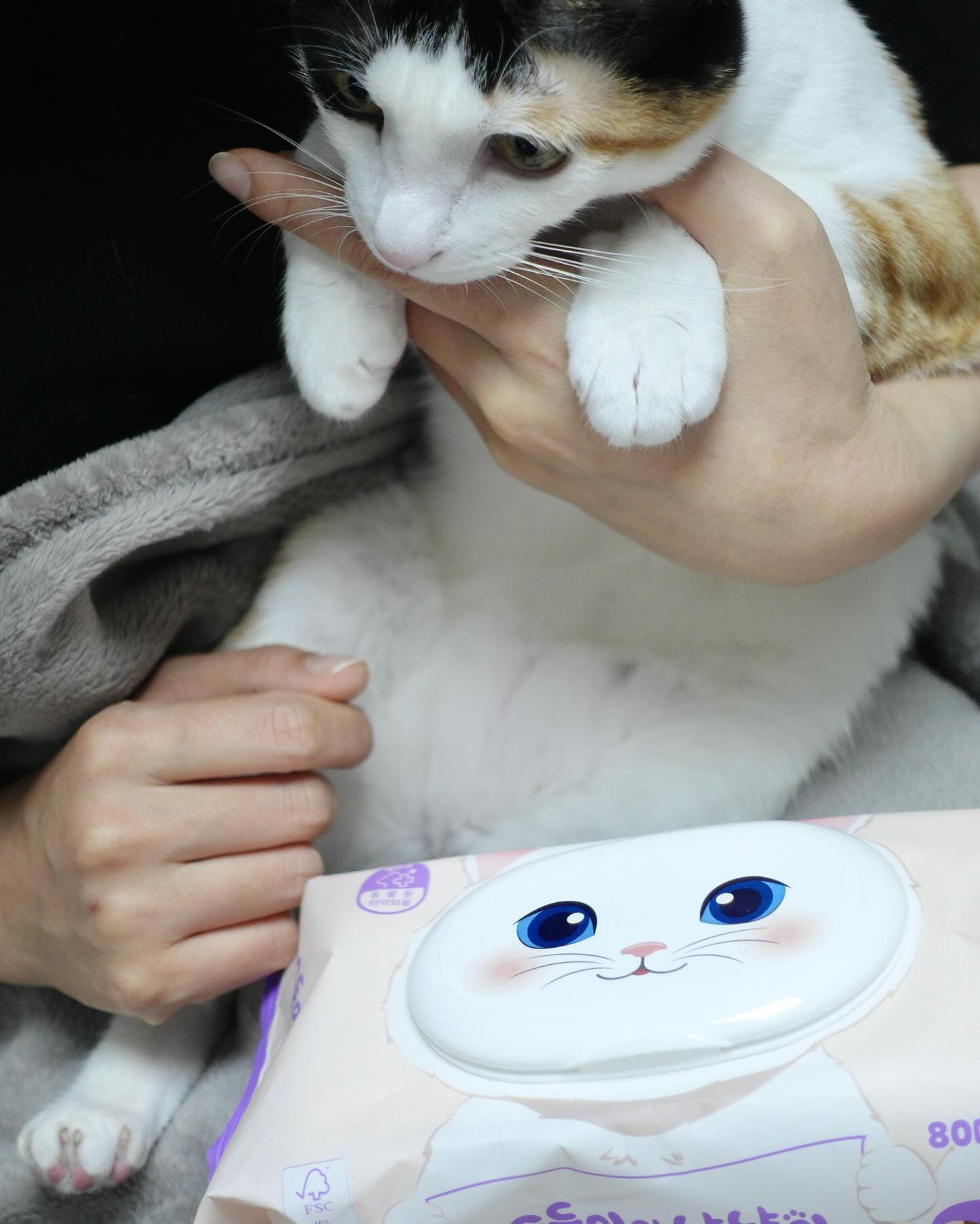 #협찬
[순둥이] 순둥이와 냥냥이

영유아 물티슈 브랜드 ’순둥이‘에서 만든 고양이 전용 물티슈에요!
고양이 피부 산도에 맞춘 ’중성‘ 물티슈인데

사람들한테는 순할지도 모르는 아기물티슈가 고양이들에게는 
식초를 바르는 것 과 같다고 하니 아무 물티슈로 소중한
우리 홍시를 닦아줄 수는 없죠!

📌순둥이와 냥냥이의 장점 포인트
1. 동물용 의약외품 허가 제품
2. 고양이가 선호하는 개다래(마따따비) 추출물 함유
3. 생분해 되는 물티슈
4. 사람이 맨손으로 함께 써도 안전한 더마테스트 엑셀런트 등급
5. FSC(C177252) 인증, 산림 자원 보호 FSC 인증
6. 엄격한 품질 관리 고품질 클라라 원단 사용
7. 얼굴, 엉덩이, 젤리 다 닦을 수 있음!

물티슈와 함께 제공 된 리트머스 키트로 기존 물티슈와도
비교 실험을 해봤는데 역시 믿고 쓰는 순둥이와 냥냥이 물티슈로
소중한 우리집 반려묘 젤리 보호를 해줘야겠어요

soondoongi_pet

#순둥이와냥냥이 #고양이물티슈 #고양이턱드름 #고양이용품 #고양이손 #고양이엉덩이 #반려묘물티슈 #고양이귀물티슈 #고양이눈꼽물티슈 #고양이똥꼬물티슈