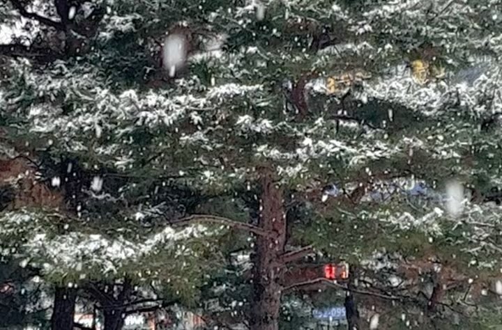 🎄☃️🎄
크리스마스도 못말리는 우쌈