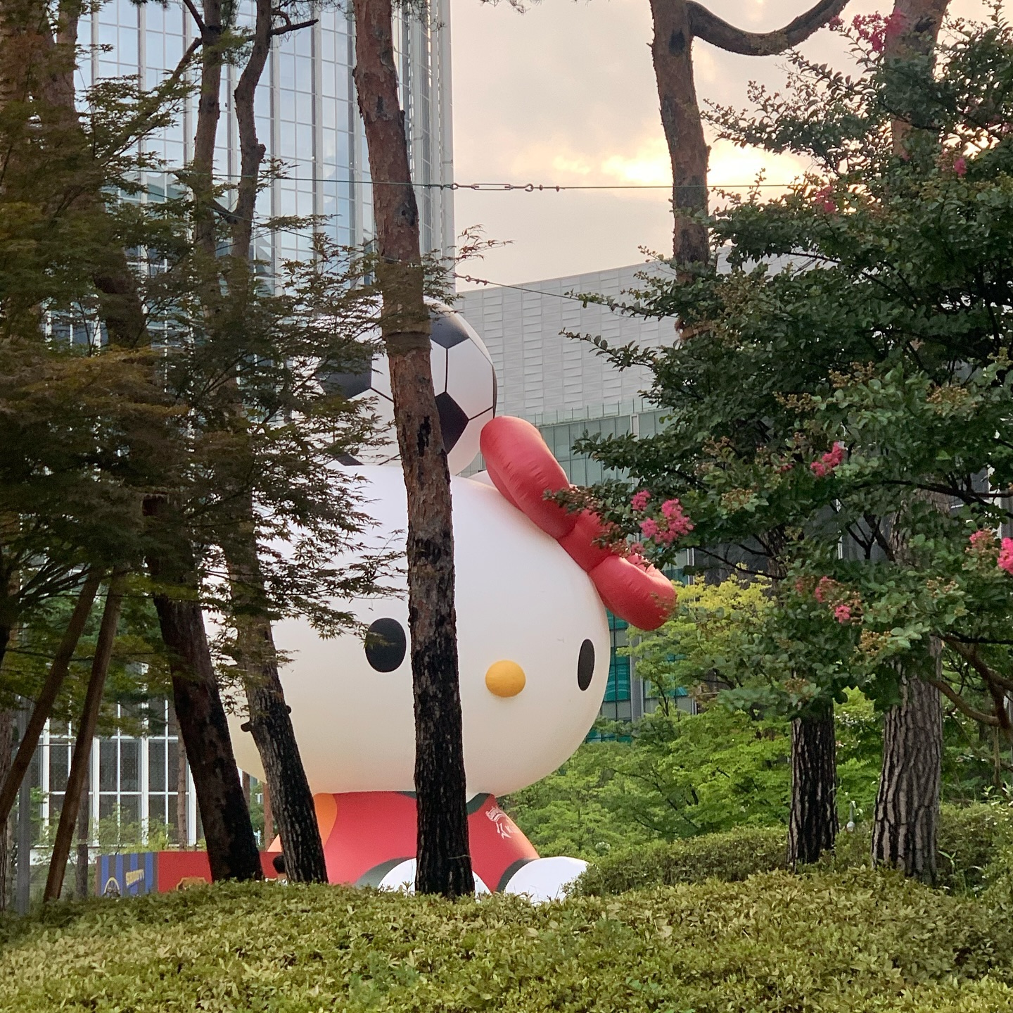🐤🍉🌈🍷
바쁘고 정신없지만 ‘이게 행복이지!’ 라는 말로 가득했던 7월