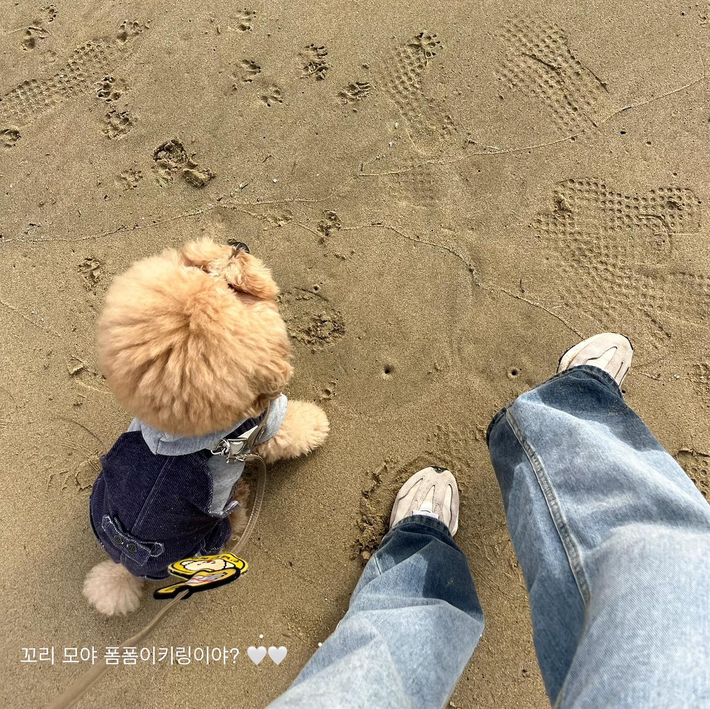 커피 빵 칵테일까지, 배우고 싶던 것
다 배우는 최근. 정신없이 바빠서
장수랑 더 애틋한 듯 💕 #love