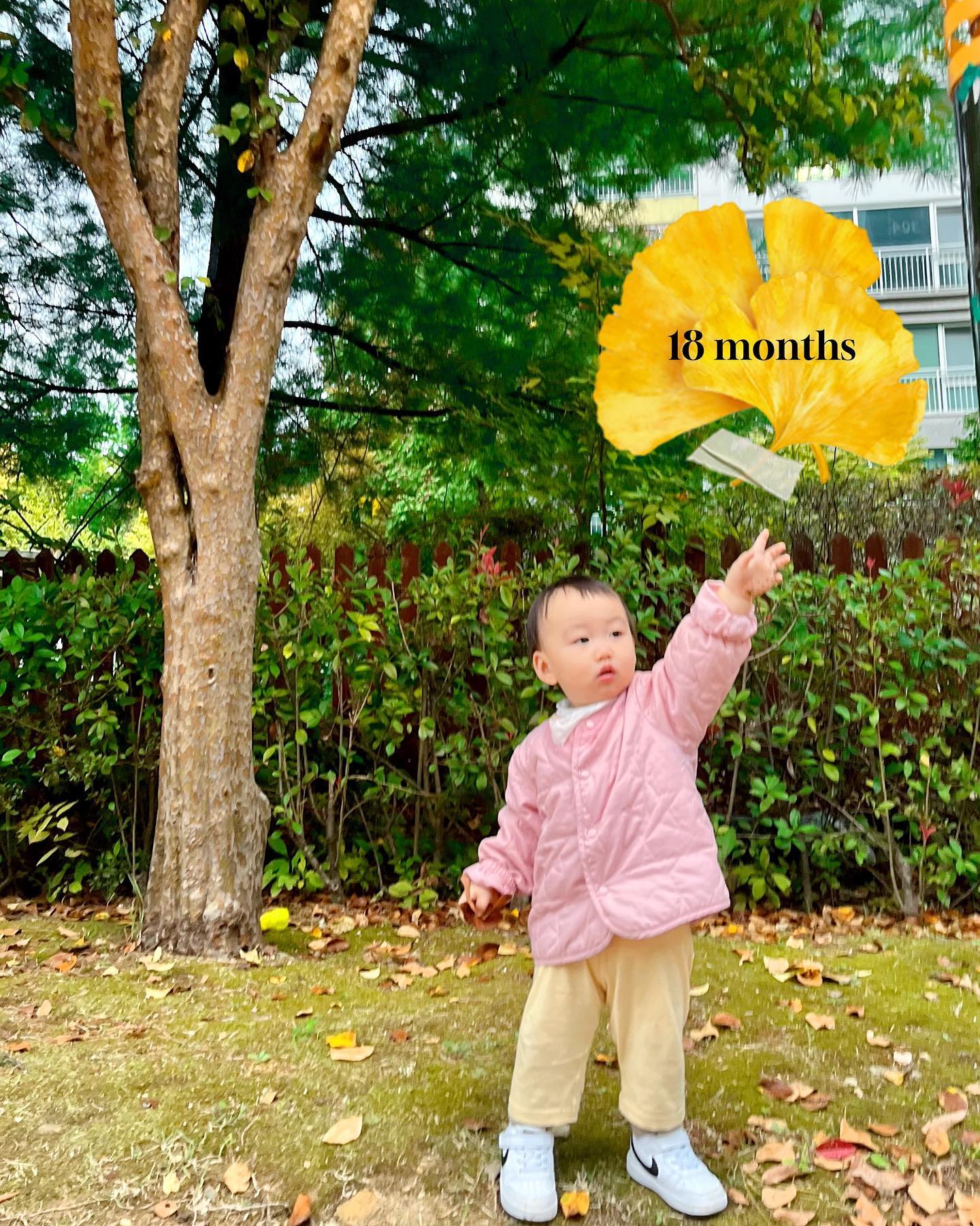 #18months
급성장한게 느껴진 17개월을 지나 벌써 18개월 진입💛
18 18 소리난다는 18개월이라는데…
예뻐죽겠어 소리만 계속 나오는 요즘🙂💕💕

어느날 하온아 하늘 좀 봐 ☁️
구름이 뭉게뭉게 너무 예쁘다 했더니,
요즘 엄마따라 하늘보며 다니는걸 좋아하는 너 ·ᴗ·

예쁜 하늘처럼 푸르르고 어여쁘게 자라렴 ♡
.
.
.
.
.
.
.
.
.
#18개월아기 #17개월아기 #성장보고서 #성장기록 #아기 #아기스타그램 #아들맘 #흑토끼띠 #육아스타그램 #육아소통 #육아일상 #육아일기 #베이비모델 #아들스타그램 #토끼띠아기 #아들육아 #육아맞팔 #아기성장기록