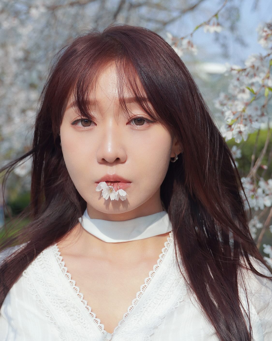벚꽃 사진 남은거 오천만개 
#벚꽃사진