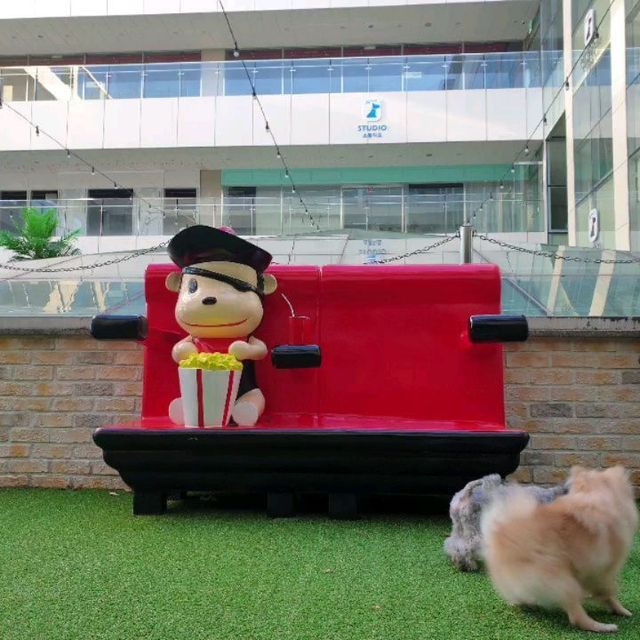 아름다울美, 밝을昭 on Instagram: "도대체 뒷발차기 왜 자꾸 하는거야? #사랑하는 내 애기들 #사자개 #아마도 #소금커피 #애견맥주 카페+운동장+미용+사진촬영+촬영소품+음료 까지 다양하게 판