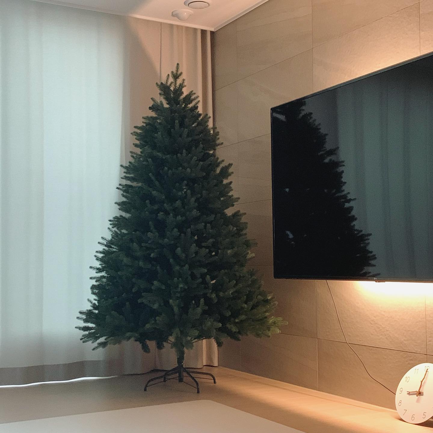 트리를 꺼냈다🌲
전구 감는게 일인데,,,

#겨울준비 #트리준비