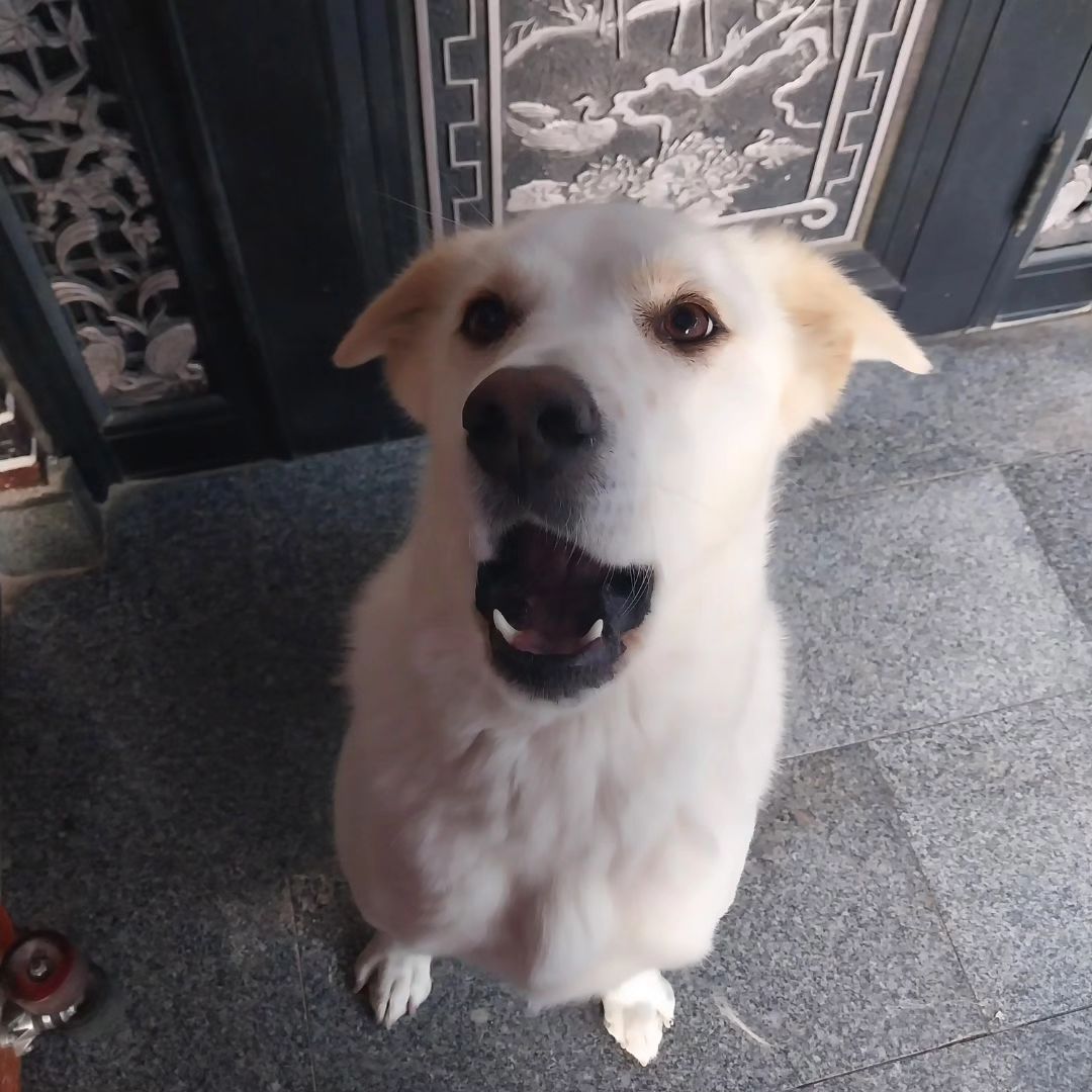 짖는 라떼로 컴백... 우리 눈나 인태기 온 둣....