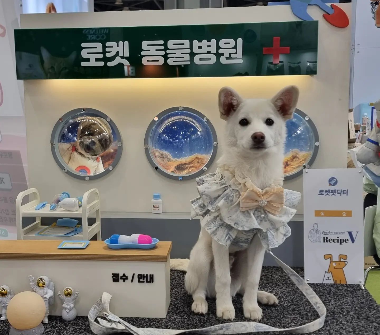 첫째 깨비 처방사료 사러 왔지요^^
사진은 막내 금쪽이가 대신~

🎬

rocket_petdoctor

#로켓펫닥터
#로켓펫닥터좋아요
#로켓동물병원 _포토제닉
#진도믹스
#진돗개모델