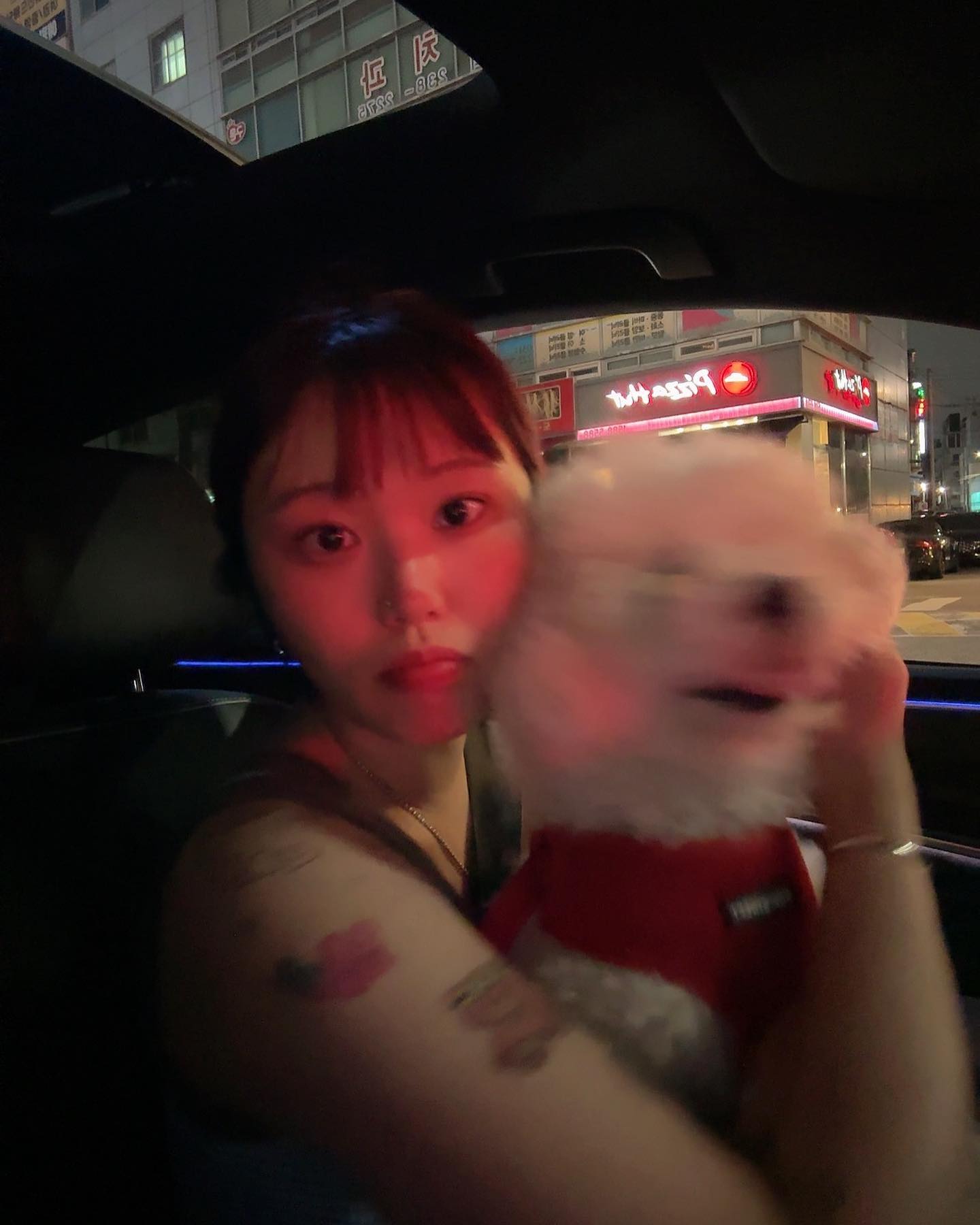 고루이